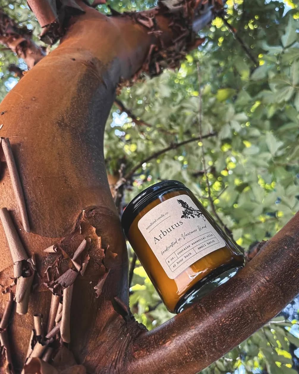 Arbutus candle